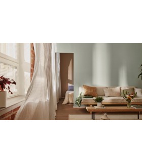 Feelings Interior Paint is the highest quality paint used by master painters and interior designers