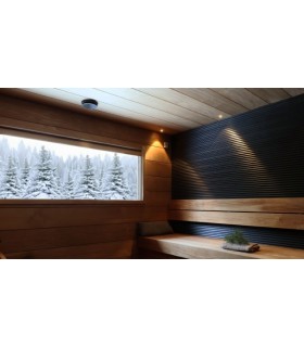 A semi-transparent, water-borne, protective wood coating
