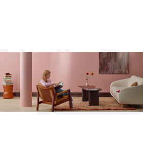 TeknosPro Interior wall paints are ideal for use on interior walls and ceilings