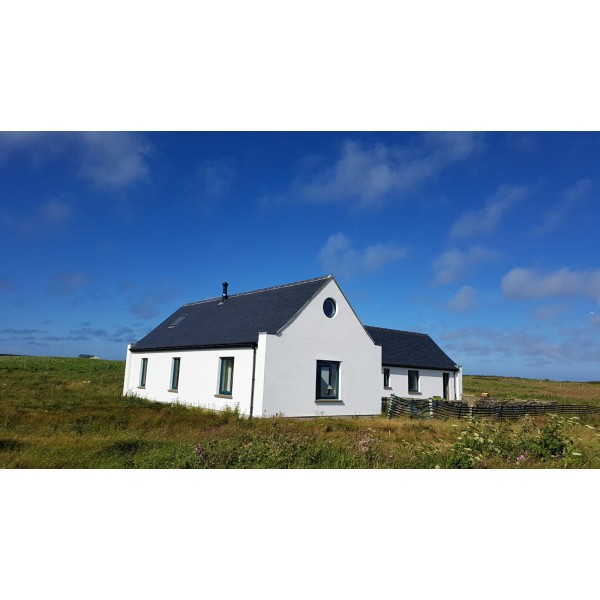 I eliminates the need for a primer/sealer coat and imparts extra water-repellent properties.